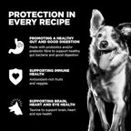 Go! Solutions Sensitivities Limited Ingredients, Grain-Free Dry Dog Food, Lamb Recipe for Sensitive Stomach, 22 lb Bag