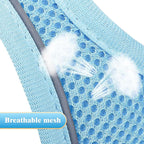YIMEIS Dog Harness and Leash Set, No Pull Soft Mesh Pet Harness, Reflective Adjustable Puppy Vest for Small Medium Large Dogs, Cats (Sky Blue, Medium (Pack of 1)