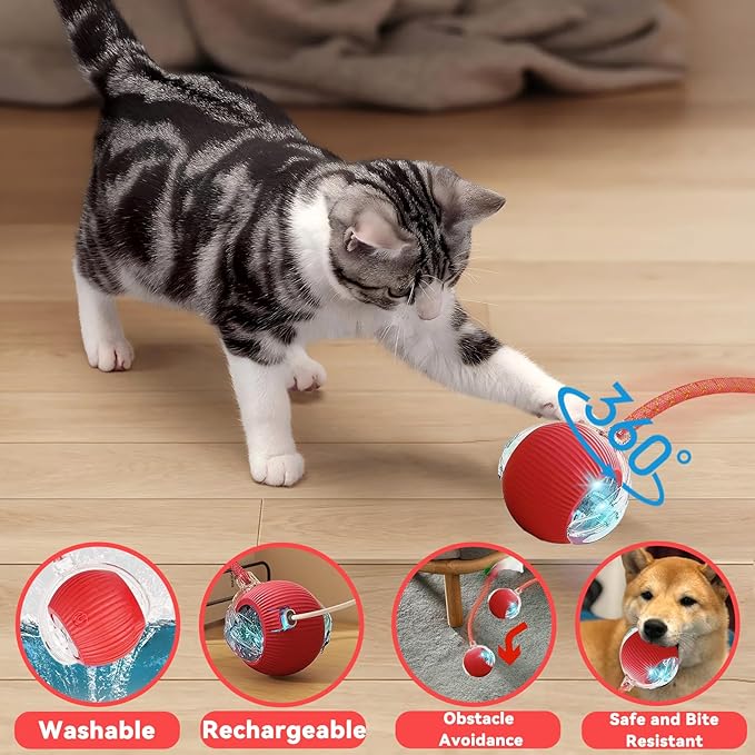 2 Packs Interactive Cat Toys for Indoor Cats, Automatic Cat Toy with Elastic Mesh Tail, Electric Rolling Ball on Carpet, Chirping and Motion Activate Cat
