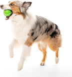 Playology Dog Toys | Squeaky Chew Ball - Bouncy Durable Floating Fetch Ball for Dogs | Jumbo Sweet Potato Scented Toy - Easy to Clean and Made from Non Toxic Materials