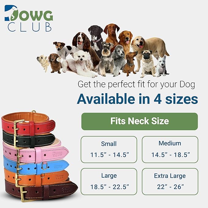 Leather Dog Collar for Small Dogs, Light Pink, .75 Inch Wide, Genuine Leather, Heavy Duty with Soft Inner Padding, Comfortable and Durable | (Blush Pink, Small (Fit Neck Size 11.5"-14.5"))
