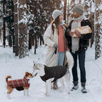 Kuoser Warm Dog Coat, Waterproof Dog Jacket for Extra Large Dogs, Adjustable Durable XXL Doggie Winter Coat Reversible Puppy Cold Weather Apparel from Small to Large Breed, Red XXL