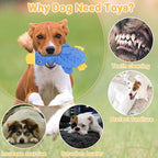No Stuffing Dog Toys for Aggressive Chewers, Squeaky Dog Toys for Large Medium and Small Dogs, Puppy Dog Chew Toys Pack of 5