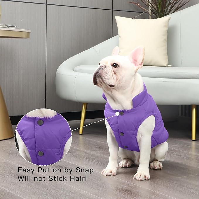 2 Layers Fleece Lined Warm Dog Jacket for Winter Cold Weather,Soft Windproof Large Dog Coat,Purple XXXL