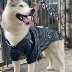 Lovelonglong Cool Dog Leather Jacket, Warm Coats Dogs Windproof Cold Weather Coats for Large Medium Small Dogs with Eagle Embroidery Black L-M
