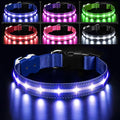 PcEoTllar Light Up Dog Collars, Led Dog Collar, Rechargeable, Night Walking, Waterproof, Glow in The Dark Dog Collars Light for Large Small Medium Dogs, Blue l