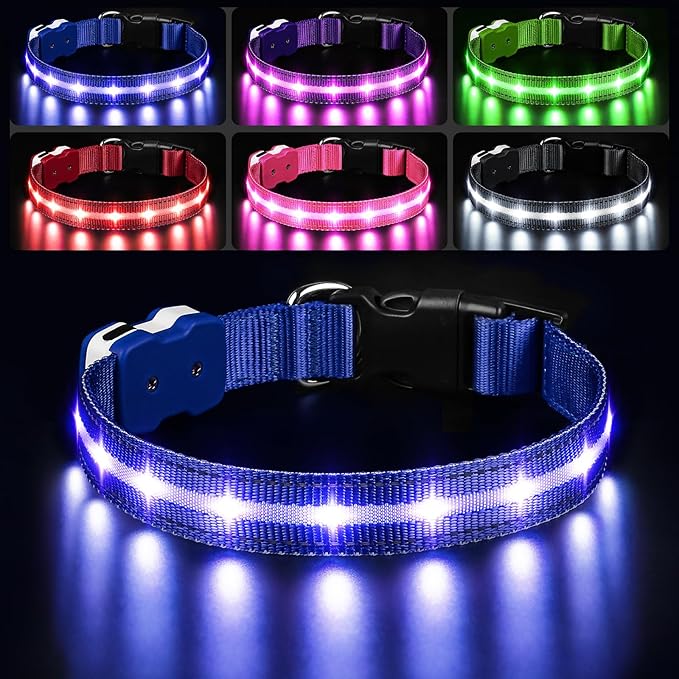 PcEoTllar Light Up Dog Collars, Led Dog Collar, Rechargeable, Night Walking, Waterproof, Glow in The Dark Dog Collars Light for Large Small Medium Dogs, Blue m