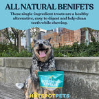 Himalayan Yak Chews for Dogs – (3 Pack) Long-Lasting Natural Dog Chew, Healthy & Safe Yak Cheese Treats for Aggressive Chewers, Small, Medium & Large Dogs - 100% No Rawhide, High Protein (X-Large)