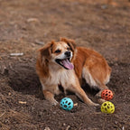 Messy Mutts Totally Pooched Huff'n Puff Ball | 2.5” TPR Puzzle Ball for Dogs | 2-in-1 Durable Interactive Toy and Tooth Cleaner | Green