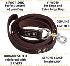 ADITYNA Heavy Duty Leather Dog Leash 6 ft x 1" - Strong, Soft Training Lead for Large & Extra Large Breeds (XL - 6 ft x 1 inch, Brown)