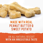 Caledon Farms The Dodo Crunchy Biscuits - Sweet Potato with Peanut Butter 19.5oz, Dog Treats