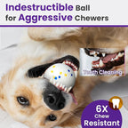 2 Pack Bouncy Dog Balls, 3'' Indestructible Dog Toys for Aggressive Chewers, Outdoor Jolly Tennis Balls for Dogs, Durable Interactive Floating Dog Fetch Toy, Orange White