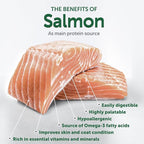 Nature's Protection Dry Dog Food for Small Breed - High Protein, Grain Free, Tear Stain Diet - Dog Kibble Puppy & Adult Dogs with Red Fur (Superior Care - Salmon, 3.3 lb)