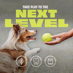 Benebone Dog Ball, Natural Rubber