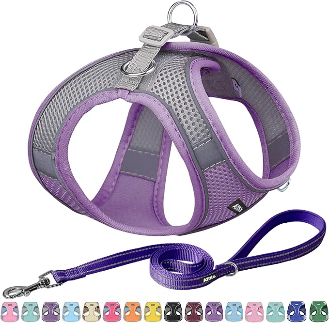 AIITLE Step in Dog Harness and Leash Set - Summer No Pull Escape Proof Vest Harnesses with Soft Mesh and Reflective Bands, Adjustable Pet Outdoor Harnesses for Small and Medium Dogs Purple M