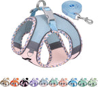 AIITLE Dog Harness and Leash Set - Ultra-Comfortable XXS-XL Vest with Strong Magic Tape & Glow-in-Dark Reflective Strips, Chafe-Free for Teddy, Schnauzer (Blue-Pink, M)