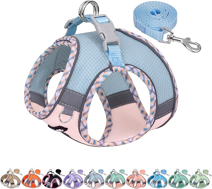 AIITLE Tiny Dog Harness - Lightweight Mesh Step-in Vest for Puppy, Reflective & Escape-Proof Design with High-Stick Magic Tape - Indoor/Outdoor Use for Chihuahua, Maltese, Shih Tzu(Blue-Pink, XXXS)