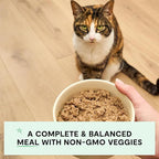 Open Farm Canned Cat Food, Pate for Complete & Balanced Nutrition, Grain Free and Legume-Free Wet Cat Food, Salmon Recipe, 5.3oz Cans (Case of 12)