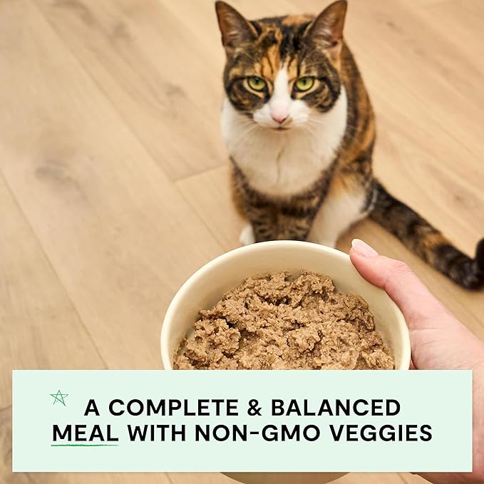 Open Farm Canned Cat Food, Pate for Complete & Balanced Nutrition, Grain Free and Legume-Free Wet Cat Food, Salmon Recipe, 5.3oz Cans (Case of 12)