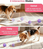 Petbobi Interactive Dog Toys – USB Rechargeable Automatic Rolling Ball with LED Light, Smart Bouncing Ball for Small Medium Pets to Exercise, Durable TPU Shell, Dog Toys to Keep Them Busy, Purple