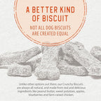 Caledon Farms The Dodo Crunchy Biscuits - Sweet Potato with Peanut Butter 19.5oz, Dog Treats