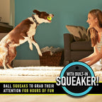 Franklin Pet Supply Co. RSF Squeak Tennis Balls - Dog Toy Squeaks When Squeezed - 12 Pack - for Small, Medium, Large Dogs - Squeaker Noise