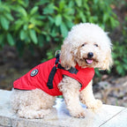 Norbi Dog Winter Coat With Built-in Harness - Adjustable Warm Jacket for Small, Medium, Large Dogs in Cold Weather