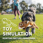 ALL FOR PAWS Squirrel Squeaky Doy Toy, Squirrel Dog Toy for Medium Large Breed, Puppy Fetch Toy with Squeaker, Plush Chew Dog Toy, 13.8 x 3.9 x 4.1inches, Chipmunk-L