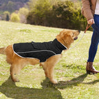 Malier Dog Winter Coat, Windproof Dog Cold Weather Coats with Real Pocket, Winter Extra Warm Pet Coat Fleece Jacket Reflective Clothes for Small Medium Large Dogs and Puppy (Black, XXX-Large)