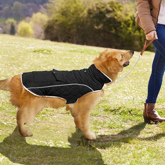 Malier Dog Winter Coat, Windproof Dog Cold Weather Coats with Real Pocket, Winter Extra Warm Pet Coat Fleece Jacket Reflective Clothes for Small Medium Large Dogs and Puppy (Black, X-Small)