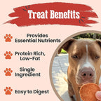 Farm To Pet Dog Training Treats, Healthy Turkey Chips for Dogs - 4 oz, 100% Human Grade Turkey Breast, All Natural, Single Ingredient, Low Allergen Treats for Dogs and Puppies, Made in USA