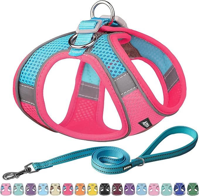 AIITLE Small Harness for Puppy with A Leash - Summer Dog Vest Harness with Super Breathable Mesh, Reflective No-Pull Pet Harness for Outdoor Walking, Camping for Small Dogs, Cats Hot Pink XXS