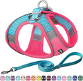 AIITLE Escape Proof Dog Harness - Step in Adjustable Dog Harness No Choke Over with Breathable Mesh and Quick-Release Buckle for Summer- Outdoor Walking, Camping, Training for Medium Dogs Hot Pink XL