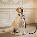 Didog Soft PU Leather Dog Collar for Large Dogs,Classic Adjustable Dog Collars with Quick Release Metal Buckle,Easy Clean and Comfortable with Nylon Lining,Black,L Neck 15-23"