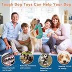 Crinkle Dog Toys Squeaky Plush No Stuffing Cute Puppy Stuffless Tough Rop Pull Toy, Fun Dog Stuffed Animals Durable Chew Set for Small Medium Large Pup (Large, Green Seahorse)
