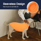 IECOii 2 Pack Dog T-Shirts for Small Medium Dogs,Lightweight & Comfortable – Easy to Wear,Machine Washable & Non - Fading – Perfect for Summer Indoor and Outdoor Use,Orange+Stripes,Large