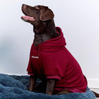 Tuff Pupper Dog Hoodie | Premium Quality 100% Organic Cotton | Ultra Soft Interior for Superior Comfort | Elastic Cuffs & Drawstring for Warmth | Stretch Fit Suitable for All Breeds (Red, XXL)