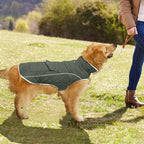 Malier Dog Winter Coat, Windproof Dog Cold Weather Coats with Real Pocket, Winter Extra Warm Pet Coat Fleece Jacket Reflective Clothes for Small Medium Large Dogs and Puppy (Green, Large)