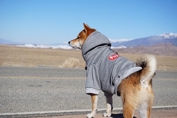 ChoChoCho Pup Dog Hoodie, Dog Sweater, Fashion Dog Clothes, Pet Clothing Cotton Cat Hoodies Stylish Streetwear Sweatshirt Gray Tracksuits Outfit for Dog Cat Puppy Small Medium Large (L)