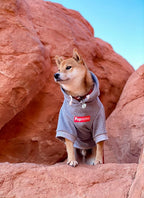 ChoChoCho Pup Dog Hoodie, Cat Hoodies - Stylish Streetwear Sweatshirt, Cotton Pet Clothing for Dog Cat Puppy Small Medium Large (5XL) - Gray