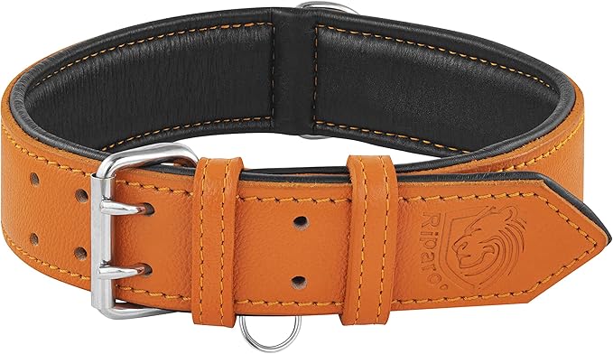 Riparo Orange Leather Dog Collar - Padded Heavy Duty Wide Dog Collar for Small, Medium, Large and Extra Large Dogs with Dog Tag Holder, Large Dog Collars (L: 1.5" Wide for 17"-21" Neck, Orange)