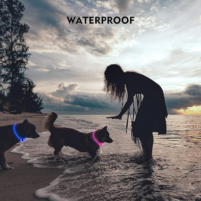 LED Dog Collar, Rechargeable Light Up Dog Collars,IP67 Waterproof Dog Lights for Night Walking，Adjustable, Reusable Safety Necklace for Small Medium Large Dogs(Blue)