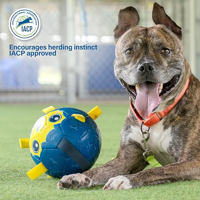 Race&Herd 8" Jolly Soccer Ball for Dogs - Tough Durable Dog Ball Toy with Straps, Pet Bouncy Herding Balls for Dogs, Floating Dog Balls with Tags for Water Fetch (BaaBaaBall, BaaBaa Sheep)