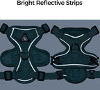 Cat Harness and Leash Set Escape Proof Tactical Extra Large Kitten Harness Emotional Support Cat Vest, Turquoise, XXL