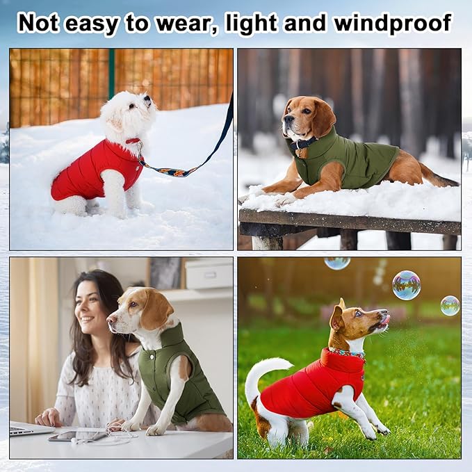 Syhood 2 Pieces Dog Jacket 2 Layers Fleece Lined Dog Jacket Warm Soft Windproof Small Pet Coat for Cold Winter Weather (L,Red,Green)