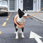 Dog Jacket with Harness,Fleece Lined Warm Puppy Coat for Winter,Soft Windproof Medium Dog Vest,LightOrange XL