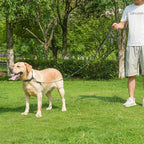 Waterproof Dog Leash with Poop Bag Holder, 5FT/6FT Adjustable Length with 2 Swivel Hooks, Odor-Free & Easy-Clean Dog Lead for Large Medium Small Dogs