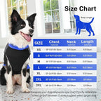 Warm Fleece Dog Coats for Small Dogs,D-Rings Waterproof Puppy Jacket for Cold Winter,Blue XS