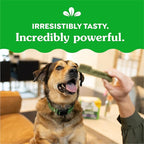 Greenies Original Large Dental Dog Treats, (4) 12 ct Packs (48 Treats Total)