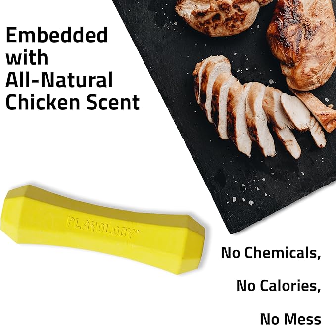 Playology Dog Toys | Durable Squeaky Chew Stick for Dogs (Value 2-Pack) | Medium Chicken Scented Toy - Easy to Clean and Made from Non Toxic Materials